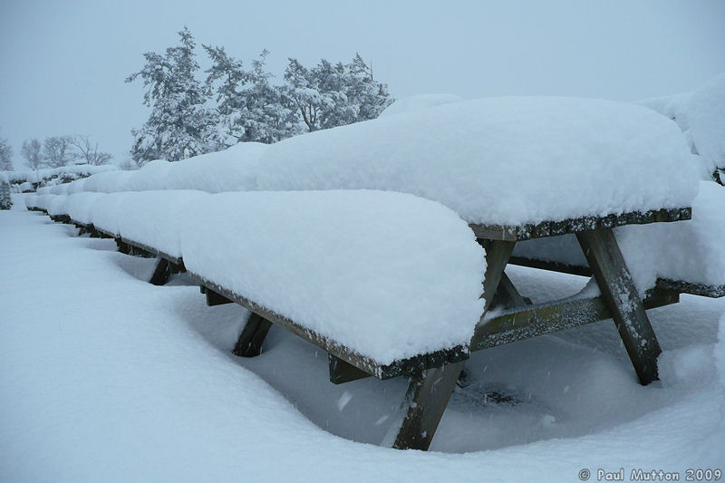 P1020057 Snow on benches